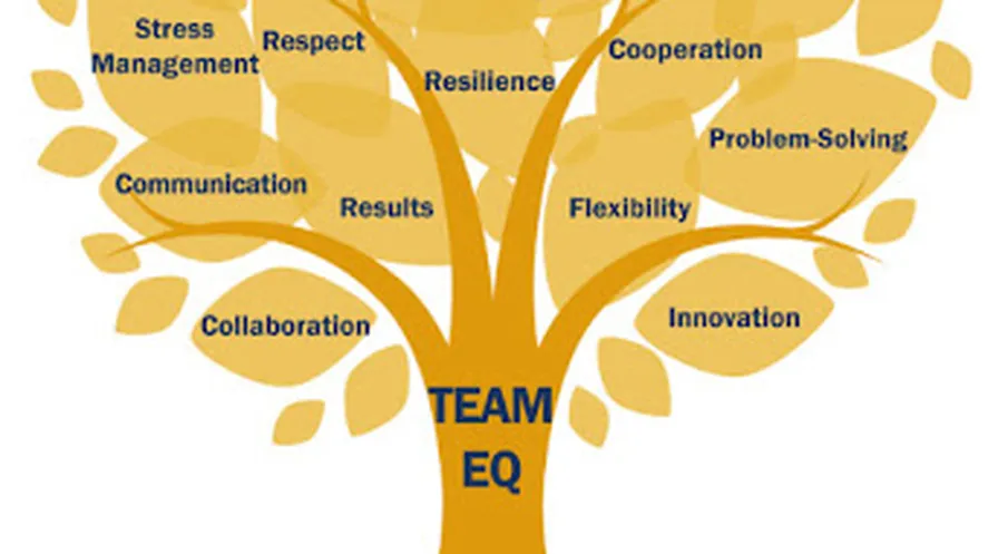 professional emotional skills workshop